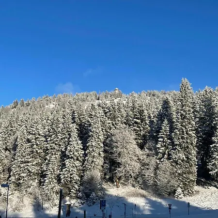 شقة Ferienwohnung Passhoehe - Familienurlaub- Wanderurlaub Schwarzwald - Hunde Willkommen- Hochschwarzwaldcard - Haus Wiesenquelle *