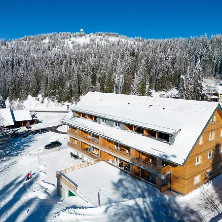 Apartmán Passhoehe - Familienurlaub- Wanderurlaub Schwarzwald - Hunde Willkommen- Hochschwarzwaldcard - Haus Wiesenquelle Feldberg (Baden-Wurttemberg)