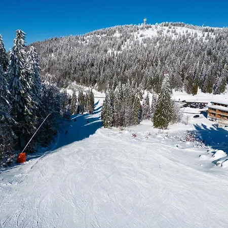 Apartment Passhoehe - Feldberg - Familienurlaub - Wanderurlaub - Hochschwarzwaldcard Feldberg (Baden-Wurttemberg)