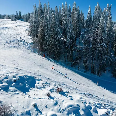 Lejlighed Passhoehe - Familien- Wander- Und Skiurlaub - Hochschwarzwaldcard - Haus Wiesenquelle Feldberg (Baden-Wurttemberg)