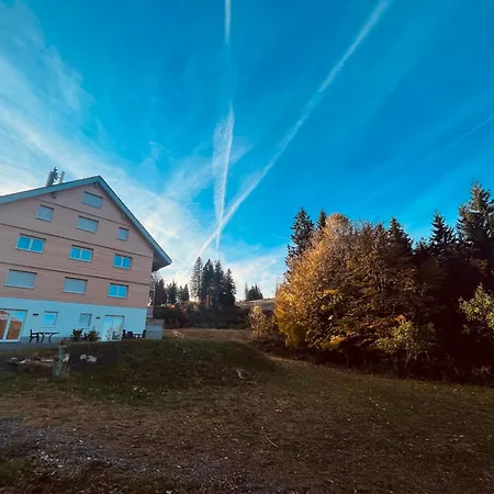 شقة Ferienwohnung Passhoehe - Familienurlaub- Wanderurlaub Schwarzwald - Hunde Willkommen- Hochschwarzwaldcard - Haus Wiesenquelle *