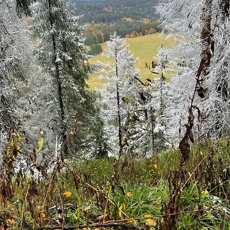 شقة Ferienwohnung Passhoehe - Familienurlaub- Wanderurlaub Schwarzwald - Hunde Willkommen- Hochschwarzwaldcard - Haus Wiesenquelle فيلدبرج