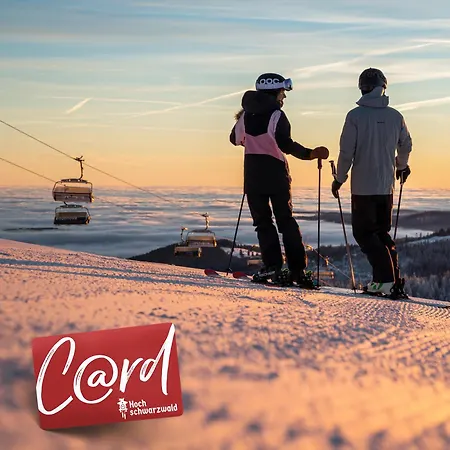 Daire Passhoehe - Familien- Wander- Und Skiurlaub - Hochschwarzwaldcard - Haus Wiesenquelle *