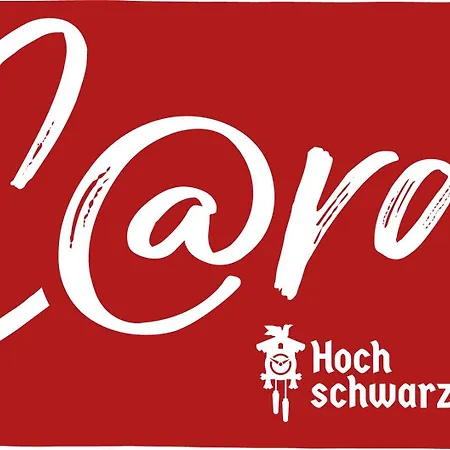 Passhoehe - Familien- Wander- Und Skiurlaub - Hochschwarzwaldcard - Haus Wiesenquelle Feldberg (Baden-Wurttemberg)