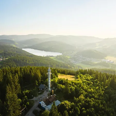 شقة Ferienwohnung Passhoehe - Familienurlaub- Wanderurlaub Schwarzwald - Hunde Willkommen- Hochschwarzwaldcard - Haus Wiesenquelle فيلدبرج
