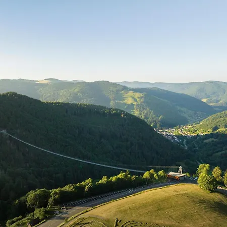 شقة Ferienwohnung Passhoehe - Familienurlaub- Wanderurlaub Schwarzwald - Hunde Willkommen- Hochschwarzwaldcard - Haus Wiesenquelle *