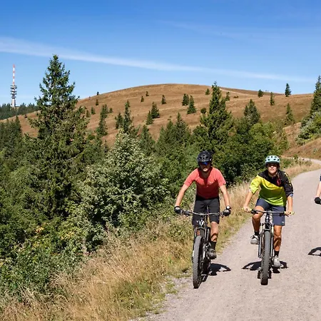 Ferienwohnung Passhoehe - Familienurlaub- Wanderurlaub Schwarzwald - Hunde Willkommen- Hochschwarzwaldcard - Haus Wiesenquelle
