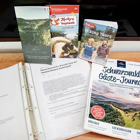 Passhoehe - Familien- Wander- Und Skiurlaub - Hochschwarzwaldcard - Haus Wiesenquelle Apartment *