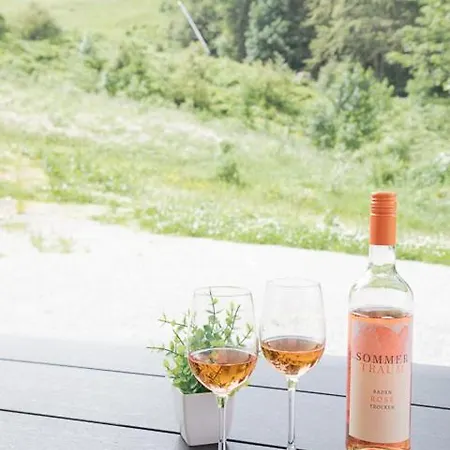 Passhoehe - Familien- Wander- Und Skiurlaub - Hochschwarzwaldcard - Haus Wiesenquelle Apartment Feldberg (Baden-Wurttemberg)