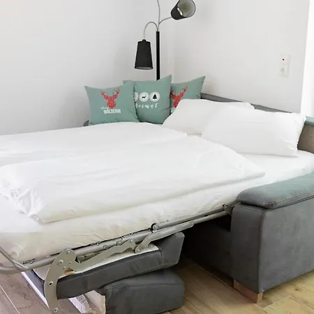 Passhoehe - Familien- Wander- Und Skiurlaub - Hochschwarzwaldcard - Haus Wiesenquelle Apartment *