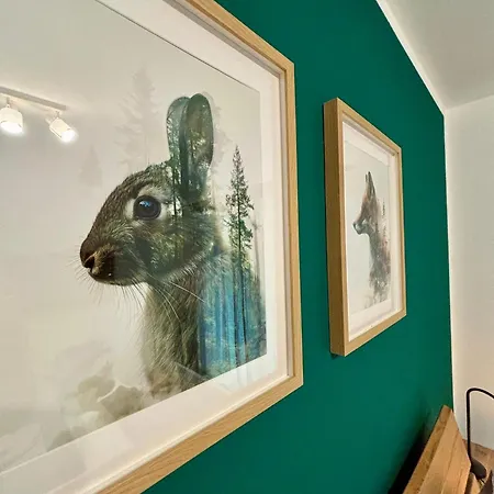 Apartment Passhoehe - Familien- Wander- Und Skiurlaub - Hochschwarzwaldcard - Haus Wiesenquelle Feldberg (Baden-Wurttemberg)